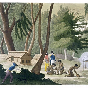 Papu Tribe on the Isle of Rawak, c1820-1839. Artist: G Bramati