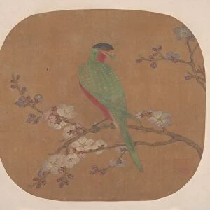 Parrot on Branch of Blossoming Tree. Creator: Unknown