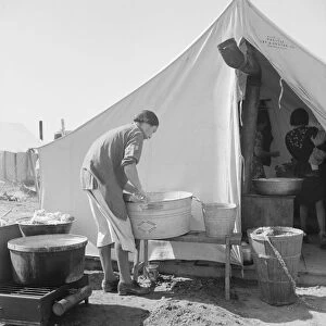 Pea picker camp, Calipatria, Imperial Valley, California, 1939. Creator: Dorothea Lange