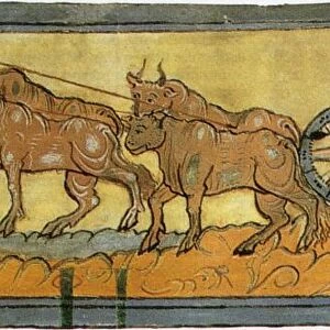 Peasants ploughing (Miniature from the Cotton MS Tiberius), 11th century. Artist: Anonymous