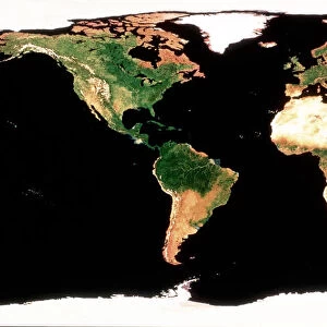 Photomosaic of Earth without cloud cover