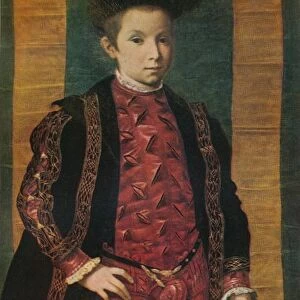 Portrait of a Boy, c1545, (1911)
