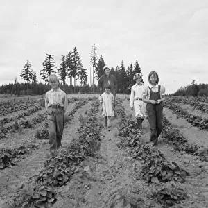 Possibly: The Arnold children and mother on their newly... Michigan Hill, Thurston County, 1939. Creator: Dorothea Lange