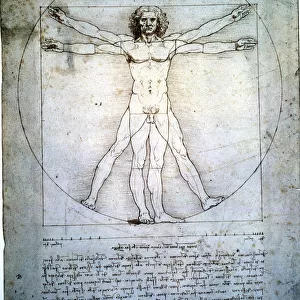 The proportion of the human figure, by Leonardo da Vinci