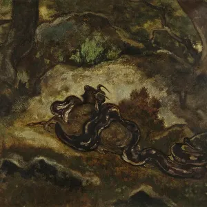 Python Crushing a Gnu Print, Forest of Fontainebleau Scene Python Crushing a Gnu Print, Forest of Fontainebleau Scene