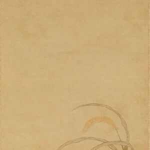 Quail and Millet, late 17th century. Creator: Kiyohara Yukinobu