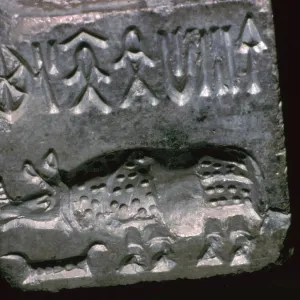 Rhinoceros in a Pakistani steatite seal, 25th century BC