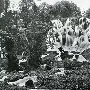 Roaring River Falls, Jamaica, c1905. Artist: Adolphe Duperly & Son