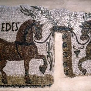Roman Mosaic of Horses, Diomeder and Aicides, 2nd-3rd century