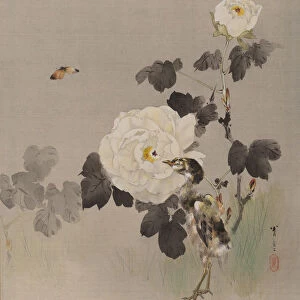Roses, Young Bird and a Butterfly, ca. 1887. Creator: Watanabe Seitei
