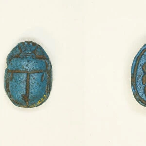 Scarab: Scarab Beetle with Sun Disc, Egypt, Second Intermediate Period