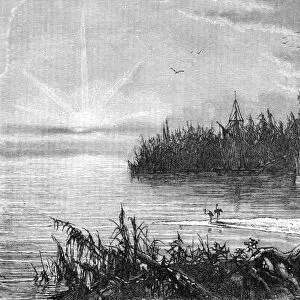 Scene upon the St. John s, Florida; A Flying Visit to Florida, 1875. Creator: Thomas Mayne Reid