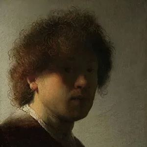 Rembrandt van Rijn Collection: Light and shadow in art
