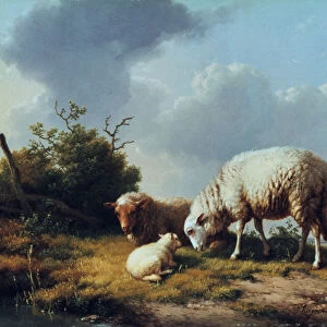 Sheep and Poultry in a Landscape, 19th century. Artist: Eugene Verboeckhoven
