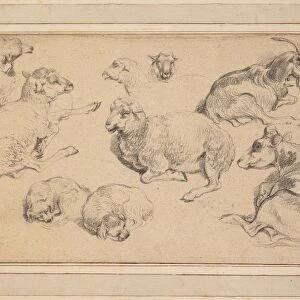 Sheet of Studies with Sheep, Goats, and Dogs, c. 1780. Creator: Jean-Baptiste Marie Hüet