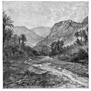 Sinai, Egypt, 1895