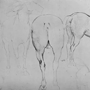 Four Sketches of Horses, c1480 (1945). Artist: Leonardo da Vinci