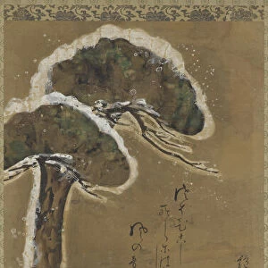 Snow-laden pine and shrub, Edo period, Dated 1741. Creator: Ogata Kenzan
