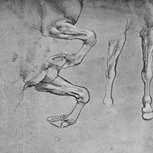 Four Studies of Horses Legs, c1480 (1945). Artist: Leonardo da Vinci