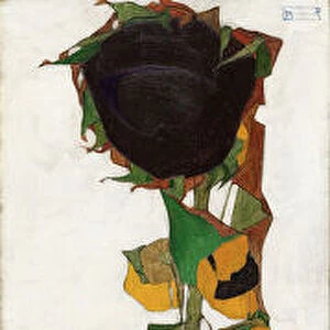 Sunflower, 1909-1910. Creator: Schiele, Egon (1890-1918)
