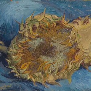 Sunflowers, 1887. Creator: Vincent van Gogh