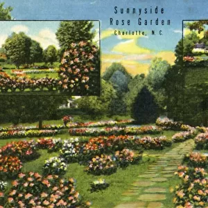 Sunnyside Rose Garden, Charlotte, N. C. 1942. Creator: Unknown