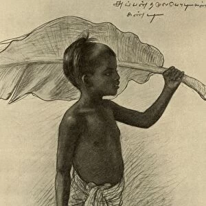 Tamil boy, Kandy, Ceylon, 1898. Creator: Christian Wilhelm Allers