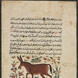 Text Page, Persian Prose (Recto); Khar (Ass) (Verso), 1400s. Creator: Unknown