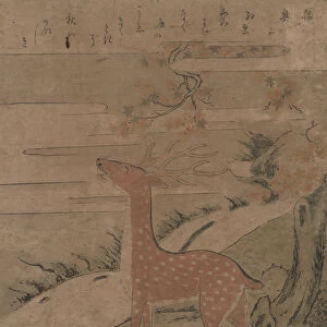 The Cry of the Stag, ca. 1760. ca. 1760. Creator: Suzuki Harunobu