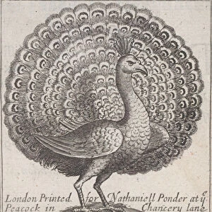 Trade card for Nathaniell Ponder, Bookseller, 18th century. Creator: Anon