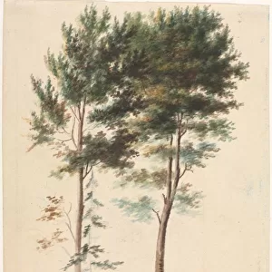 Trees, 1700s(?). Creator: Jean Baptiste Pillement (French, 1728-1808)