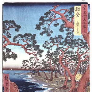 Trees beside a Lake, 19th century