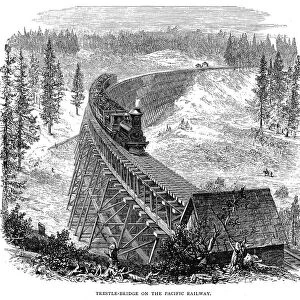 Trestle Bridge on the Union Pacific Railroad, USA, 1876