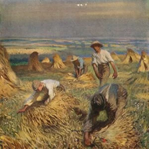 Tying the Sheaves, 1902, (1923). Artist: George Clausen