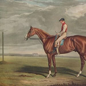 Velocipede, Winner of the St. Leger, 1828, c1828, (1929). Artists: Edward Duncan, J Webb