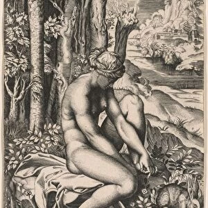 Venus Wounded by a Roses Thorn, c. 1516