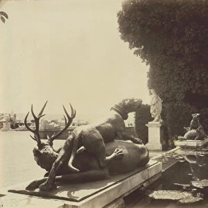 Versailles, Fontaine du Point du Jour, 1903. Creator: Eugene Atget