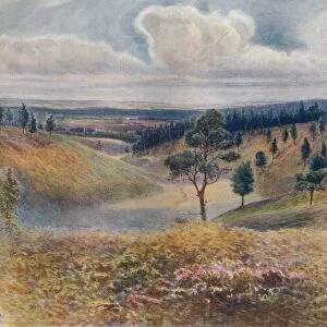 View from Beacon Hill, Hindhead, 1911, (1914). Artist: Jamess Ogilvy