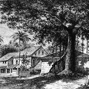 View of a Street in Mazago, Bombay, c1891. Creator: James Grant