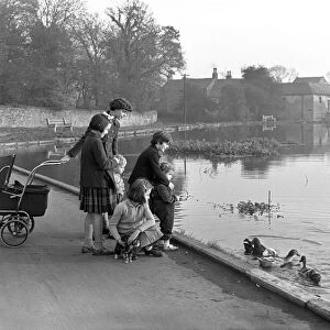 Village duck pond scene, Tickhill, Doncaster, South Yorkshire, 1961
