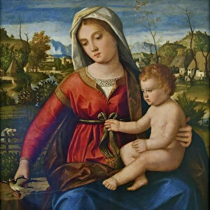 Virgin and Child. Artist: Previtali, Andrea (ca 1480-1528)
