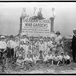 War Garden: Sheridan School, between 1910 and 1920. Creator: Harris & Ewing. War Garden: Sheridan School, between 1910 and 1920. Creator: Harris & Ewing