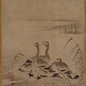 Wild Geese, early 1500s. Creator: Kano Chokichi (Japanese)