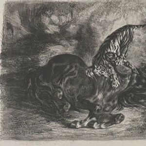 Wild Horse Felled by a Tiger, 1828. 1828. Creator: Eugene Delacroix