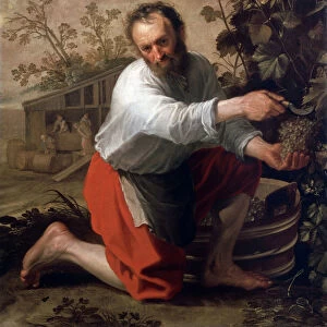 Winegrower, 1628. Artist: Jacob Gerritsz Cuyp