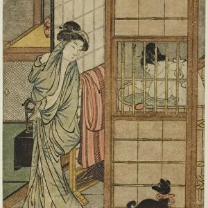 Woman After a Bath, from "Comparison of Alluring Beauties (Irokurabe enpu sugata)