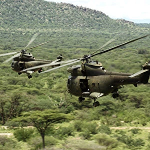 Two Royal Air Force Puma Helicopters During Ex Askari Thunder Over Kenya