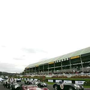 Goodwood Revival Meeting: Cars on the grid