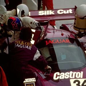 1991 Collection: Le Mans