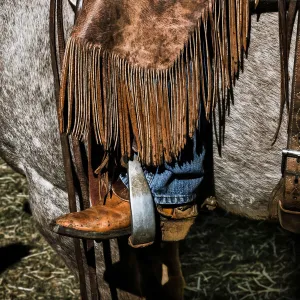 American Cowboy with chaps in the saddle